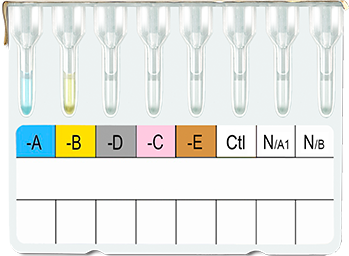 ABO / Rh Blood Grouping Card (8 - Column)