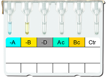 ABO/Rh(D) Blood Grouping Card (6 - Column)